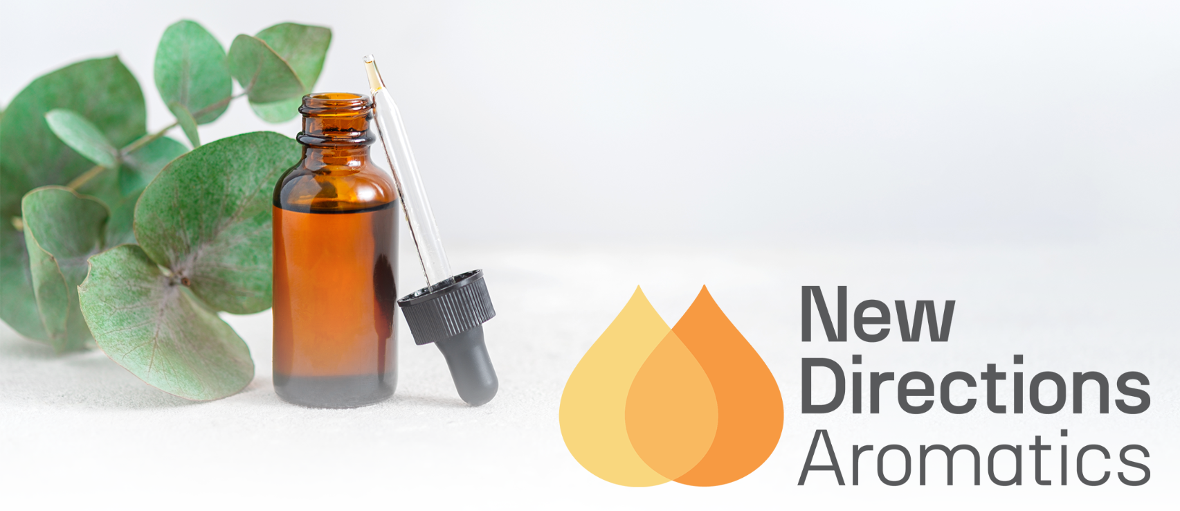 direction-aromatic-banner