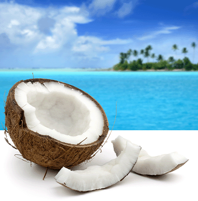 Compare to aroma BLUE HAWAIIAN by AFI ®