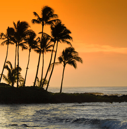 Compare To HAWAIIAN ALOHA by FEBREZE ®