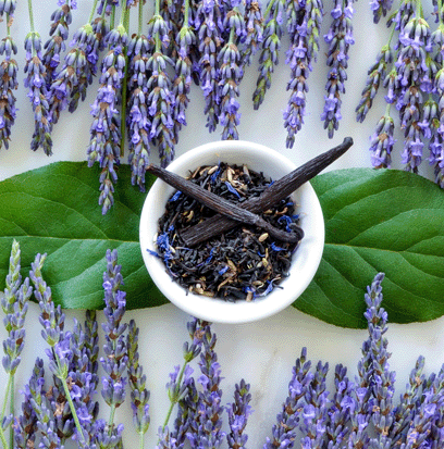 LAVENDER VANILLA
