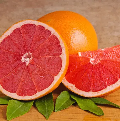 Compare to aroma PINK GRAPEFRUIT by AFI ® F20234