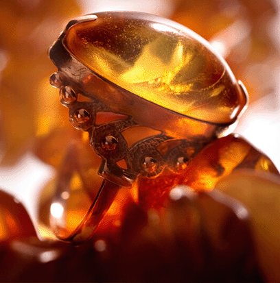 Compare To SENSUAL AMBER by BBW ®