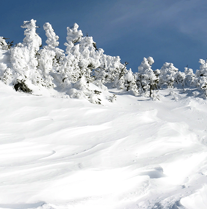 Compare To SNOW by DEMETER ®