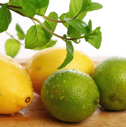 Compare to aroma LEMON LIME by AFI ® F20420