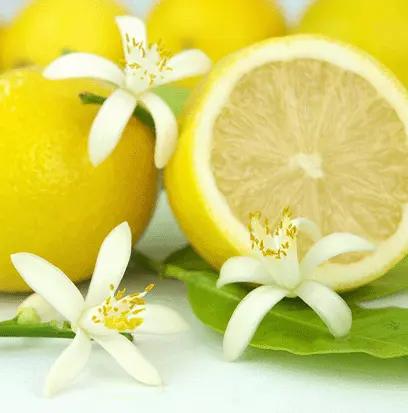 Compare to aroma FRESH LEMON FOR BLEACH by AFI ® F20464