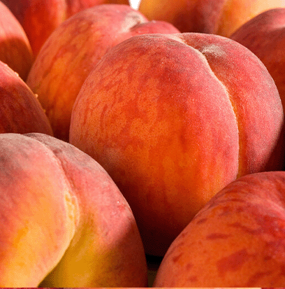 PEACH FUZZ