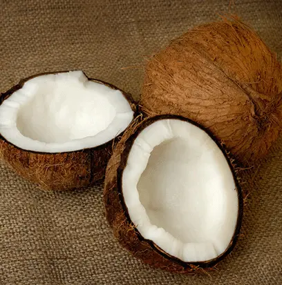 Compare to aroma COCONUT WS by AFI ® F20700
