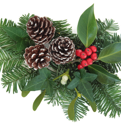 Compare to aroma MISTLETOE by AFI ®