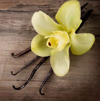 VANILLA