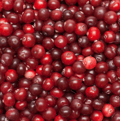 Compare to aroma CRANBERRY by BODY SHOP ®