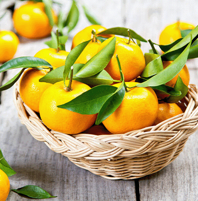 Compare to aroma SATSUMA ORANGE by AFI ®