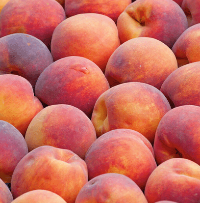 Compare to aroma GEORGIA PEACH by AFI ®