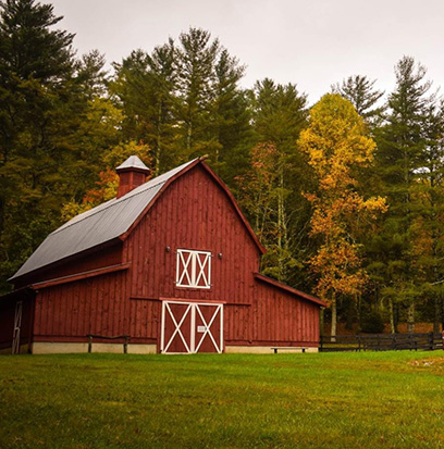 BARN WOOD