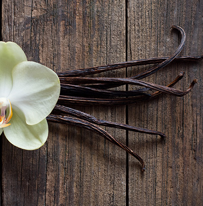 Compare to aroma FESTIVE VANILLA FIG by BBW ®