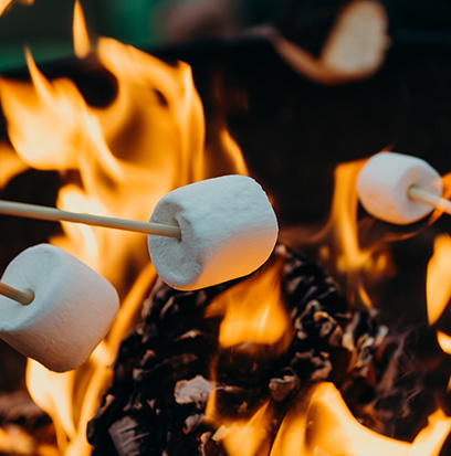 Compare to aroma MARSHMALLOW FIRESIDE by BBW  ®