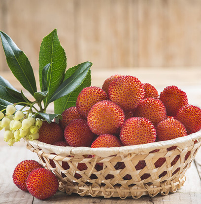 Compare to aroma HOLIDAY BAYBERRY by Yankee ®
