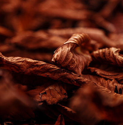 Compare To TOM FORD TOBACCO by Tom Ford ®