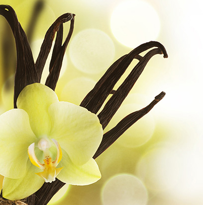 Fragrance
