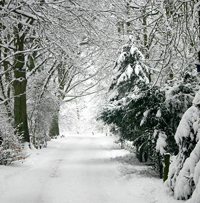 Compare to aroma TIS THE SEASON by BBW ®