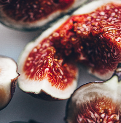 EUROPEAN FIG
