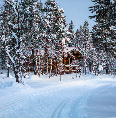 Compare to aroma NORTH POLE by Yankee ®