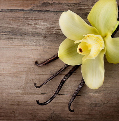 Compare to aroma VANILLA BEAN by Nature's Garden ®
