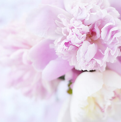 Fragrance