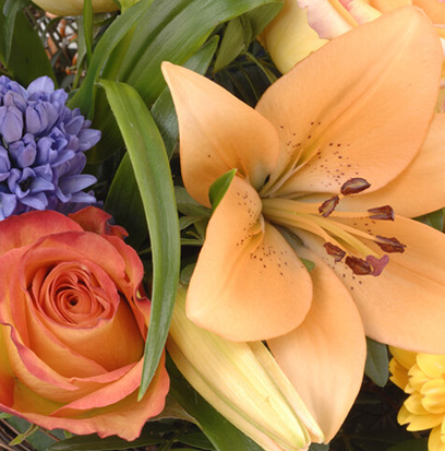 Compare To MISS DIOR BLOOMING BOUQUET ®