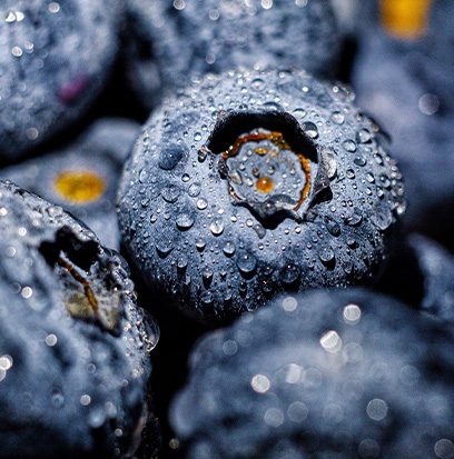 Compare to aroma BLUEBERRY by AFI®