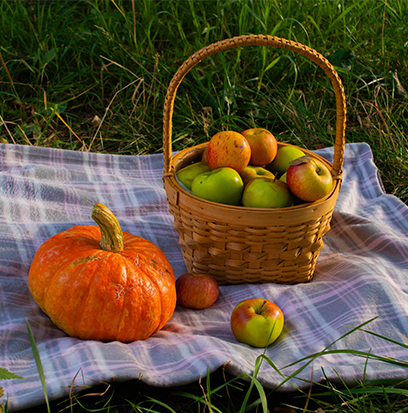 Compare to aroma APPLE PUMPKIN by Yankee Candle ®