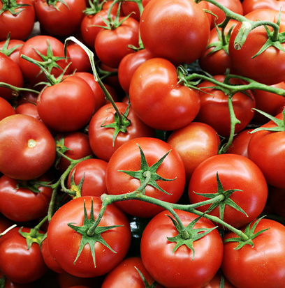 TOMATO