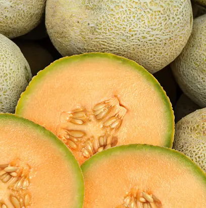 Compare to aroma CANTALOUPE & LILY by Mill Creek ® F27832