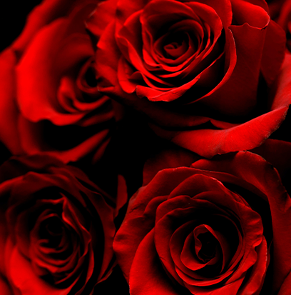 Fragrance