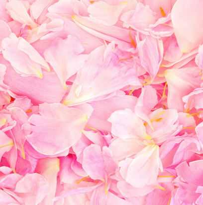 Fragrance