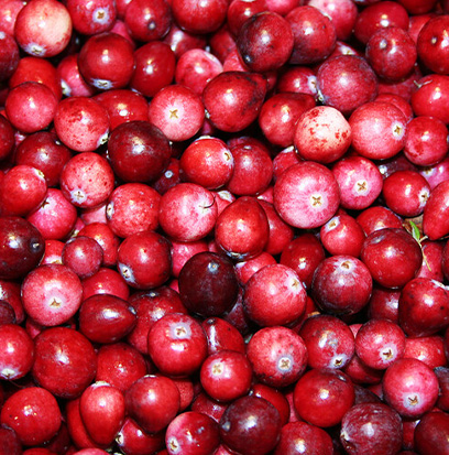 Compare to aroma CRANBERRY OAK by Peak Candle®