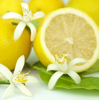 Compare To SOAPY CLEAN by Brambleberry ®