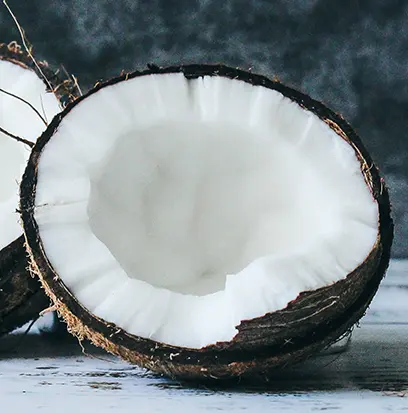 Compare to aroma FRESH COCONUT & EUCALYPTUS by White Barn® F34006