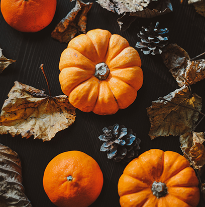 Compare to aroma PUMPKIN CLOVE by BBW ®
