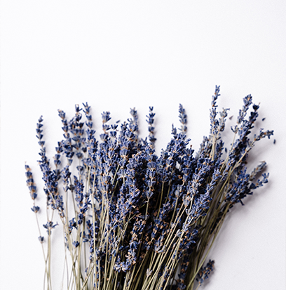 Fragrance
