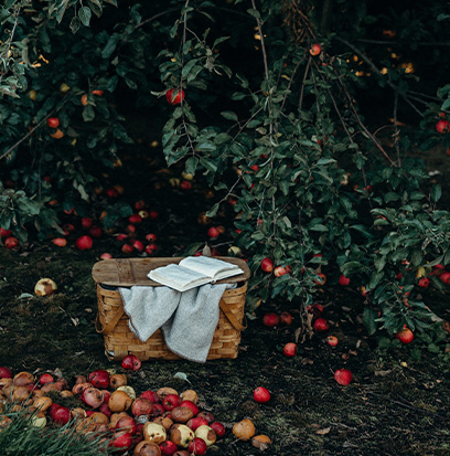Fragrance