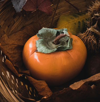 PERSIMMON SORBET