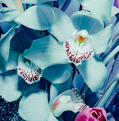 BLOSSOMS AND SEA SHORES