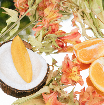 TROPICAL TREAT