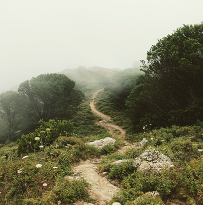 Compare to aroma HIKING TRAIL by AFI ®