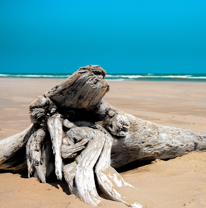 Compare to aroma CARIBBEAN DRIFTWOOD by AFI ®