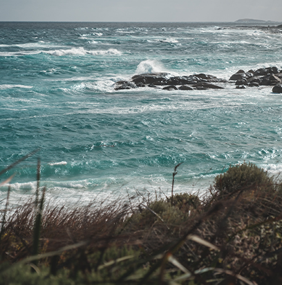 LOW TIDE