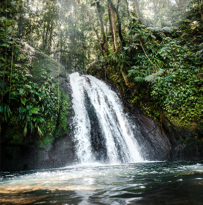 Compare to aroma HIBISCUS WATERFALLS by BBW ®
