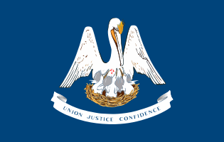 Flag of LA