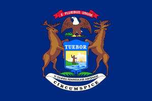 Flag of MI