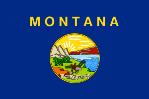 Flag of MT